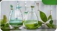 Herbal formulations